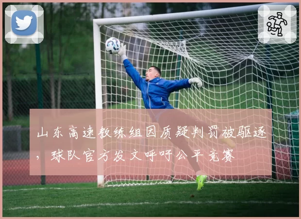 山东高速教练组因质疑判罚被驱逐，球队官方发文呼吁公平竞赛